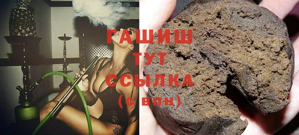 гидра Гусиноозёрск