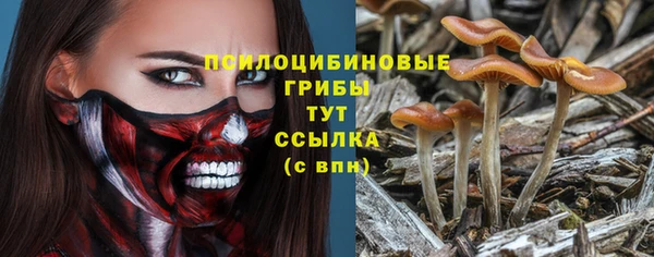 ешки Гусь-Хрустальный