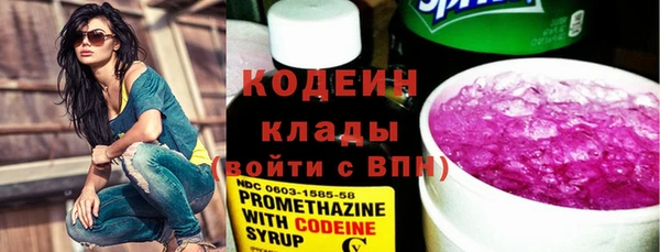 ешки Гусь-Хрустальный