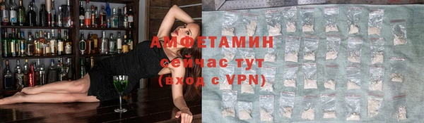 гидра Гусиноозёрск