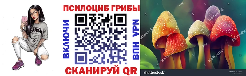 Купить где  Тогучин  Галлюциногенные грибы прущие грибы 